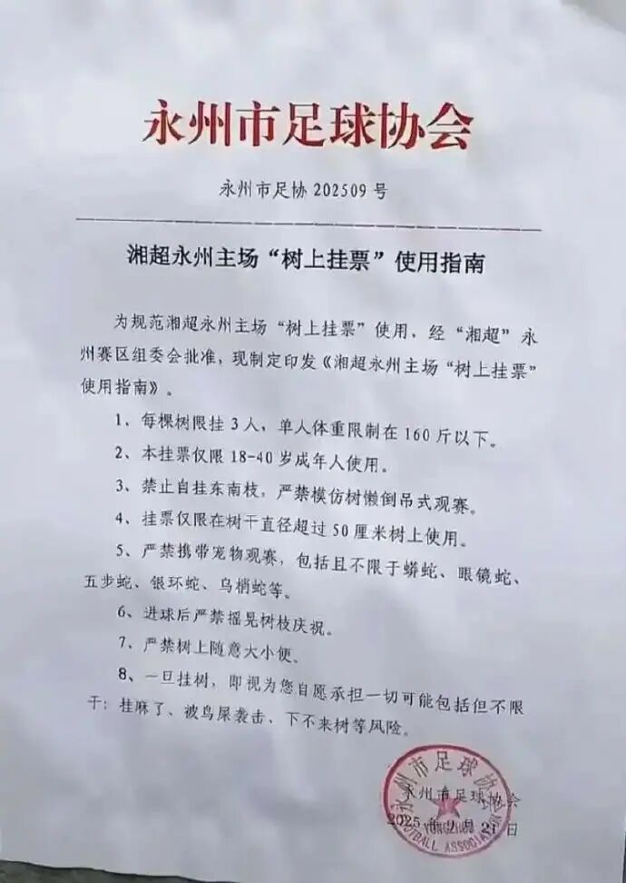 在内场欢呼, 树枝上观看