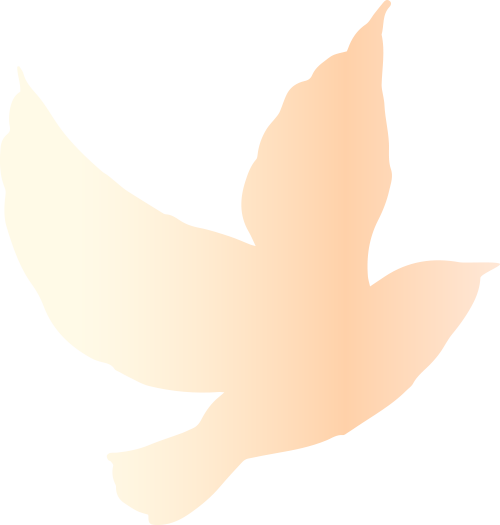 inews, HZ, src inews, HZ, src